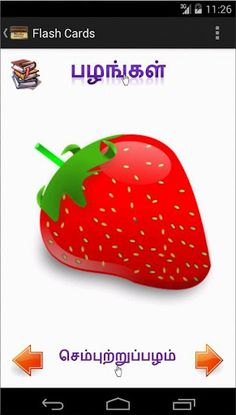 Tamil Basic Letters and Vocabu - Screenshot 1