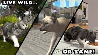 Ultimate Cat Simulator - Screenshot 3