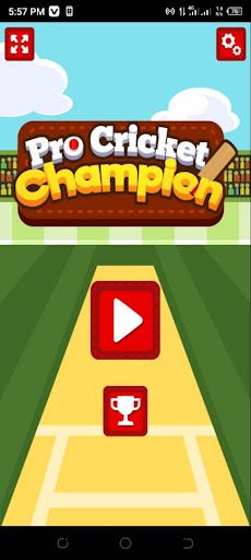 Pro Cricket Champion - Screenshot 3