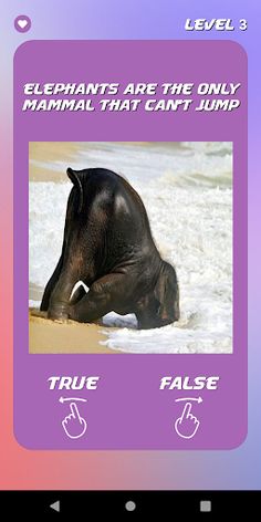 DYK: Guess Right - Learn Facts - Screenshot 2