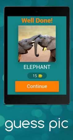 guess pic - Screenshot 1