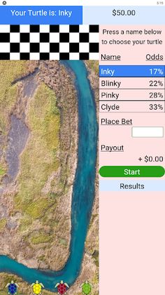 Turtle Race! - Screenshot 1