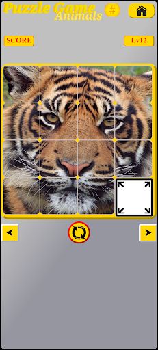 Puzzle Animal - Screenshot 4