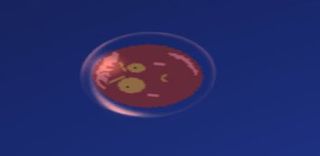 Popped - Screenshot 3