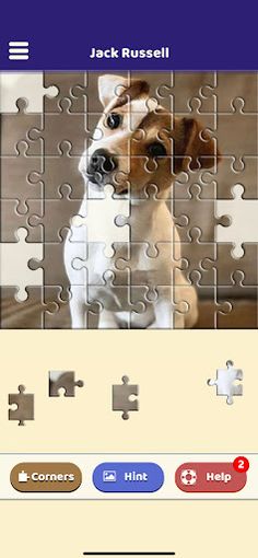 Jack Russell Puzzle - Screenshot 2