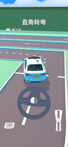 Car Driving Test - Screenshot 2