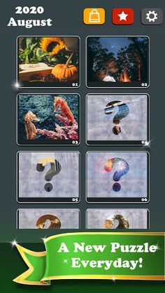 Daily Jigsaw Puzzles - Screenshot 4