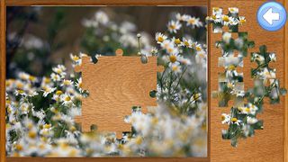 Simple Jigsaw Puzzle - Screenshot 2