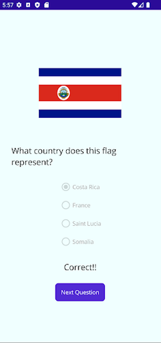 Guess The Flag - Screenshot 4