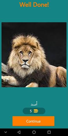 احزر الصورة - Screenshot 2