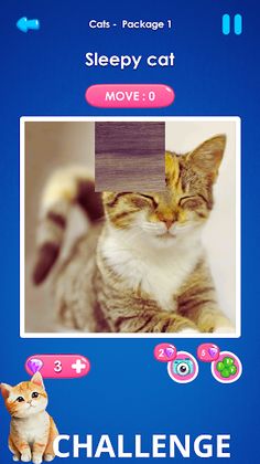 Picture Puzzle - Games 2023 - Screenshot 2