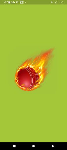 Cricket Hero - Screenshot 1