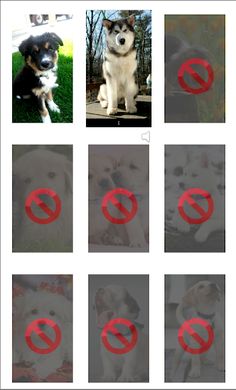 Rompecabeza de Cachorros - Screenshot 3