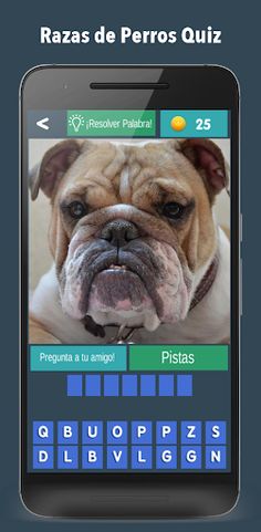 Razas de Perros Quiz 2021 - Screenshot 1