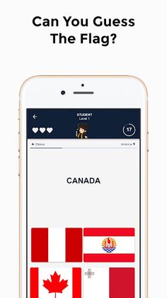World Flags Trivia Quiz - Screenshot 2
