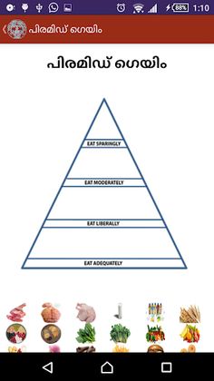 NIN Nutrition പോഷകാഹാരം Malay - Screenshot 3