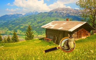 Find a Cat - Hidden Objects - Screenshot 3