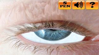 Eyewinker S-Pen - Screenshot 3