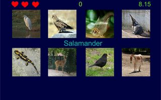 Guess Animal - Screenshot 2