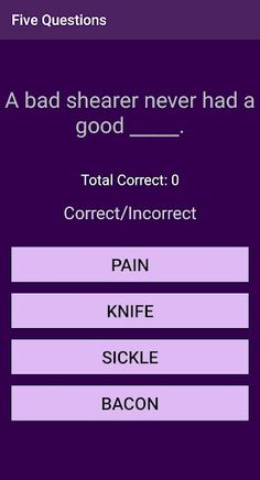 Five Questions - Screenshot 2