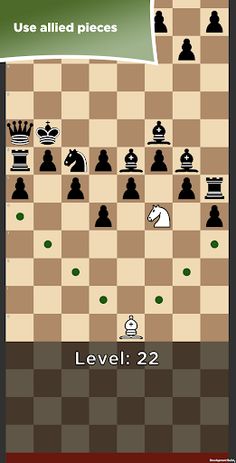 Check Maze (Chess) - Screenshot 3