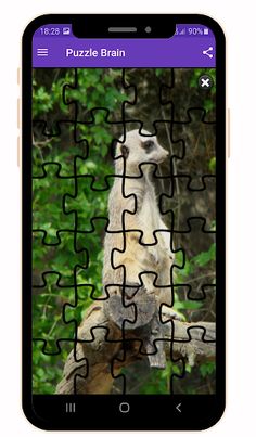 BrainSmart - Screenshot 4