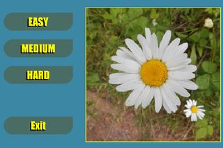 Flower Shuffle - Screenshot 1