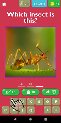 Insect Explorer Game - Screenshot 1