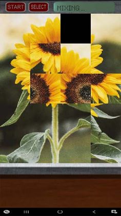 Flower Puzzle - Screenshot 2