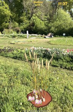 Helden der Biodiversität - Screenshot 3
