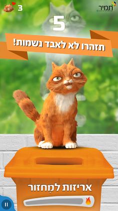 כתומולו - Catomolo משחק עם דדי - Screenshot 2