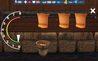 Horse Racing World Jumping 3D - Screenshot 2