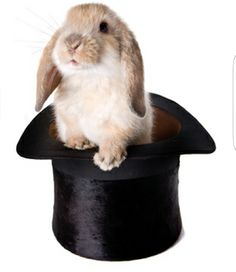 Magia - Screenshot 2