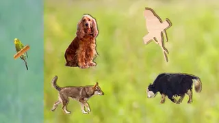 Puzzle Game Animals for Kids - Screenshot 3