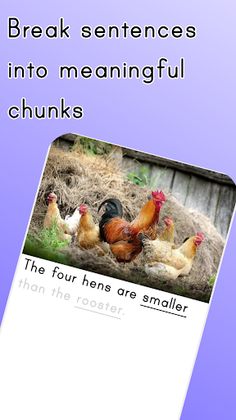 Chunky Sentences Variety Pack - Screenshot 1