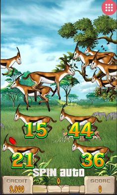 애니멀하우스 - Screenshot 1