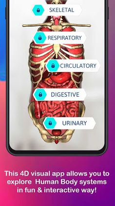Anatomy AR 4D - Virtual TShirt - Screenshot 2