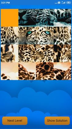 Animal Challenge - Screenshot 1