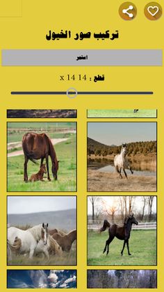 لعبة تركيب صور الخيول - Screenshot 4