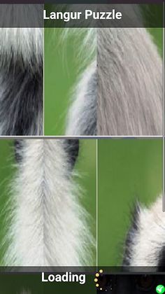 Langur Puzzle - Screenshot 2
