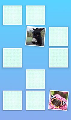 Animal Pairs - Screenshot 3