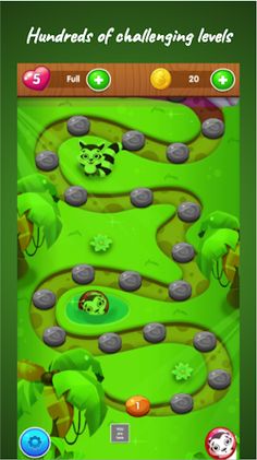 Raccoon Saver - Screenshot 2