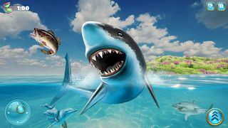 Shark Evolution: Shark Games - Screenshot 2