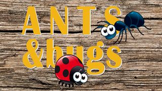 Ants and Bugs - Roll them over - Screenshot 1