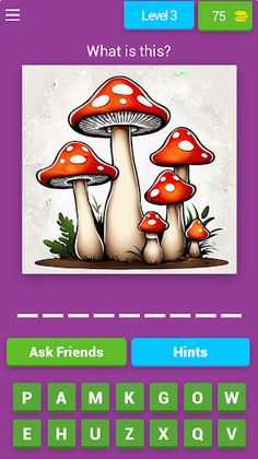 What Is This - Screenshot 2