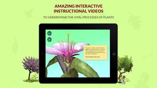 Arloon Plants - Screenshot 1