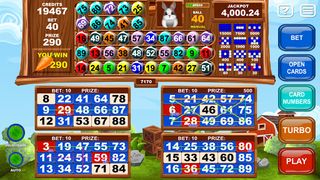 Video Bingo Little Farm - Screenshot 2