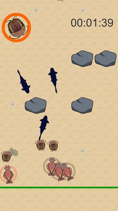 AnomalocarisRace - Screenshot 3