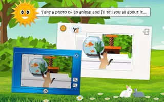 Find Them All: Cats, Dogs and - Screenshot 2