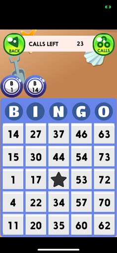 Bingo Paradise - Screenshot 2